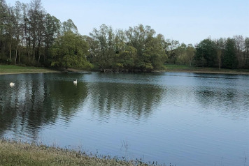 Water Level Update - 12