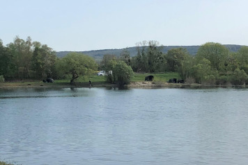 Water Level Update - 11