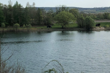 Water Level Update - 10