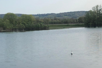 Water Level Update - 9