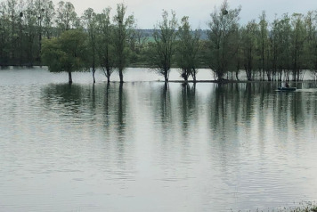 Water Level Update - 8