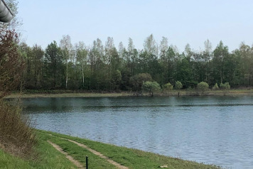 Water Level Update - 7