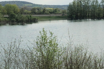 Water Level Update - 6