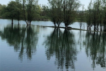 Water Level Update - 5