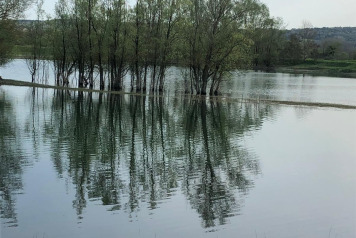 Water Level Update - 4