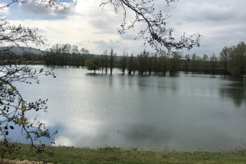 Water Level Update - 12