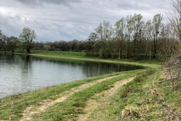 Water Level Update - 11