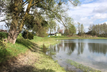 Water Level Update - 10