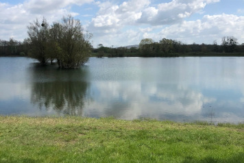 Water Level Update - 9