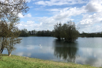 Water Level Update - 6