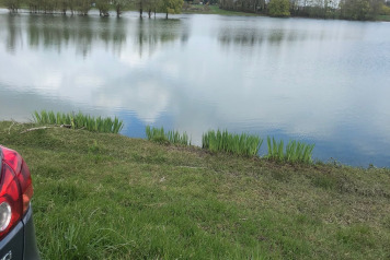 Water Level Update - 8