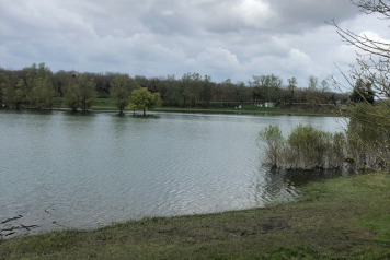 Water Level Update - 7