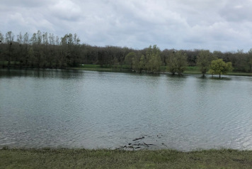 Water Level Update - 5