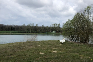 Water Level Update - 4