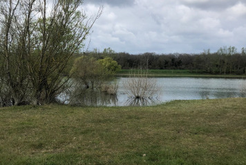 Water Level Update - 1