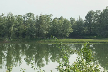 Lake Photos - 9