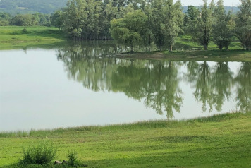 Lake Photos - 10