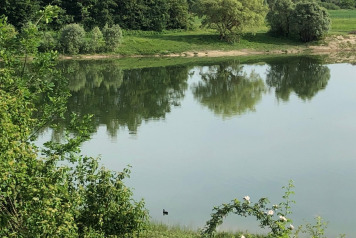 Lake Photos - 11