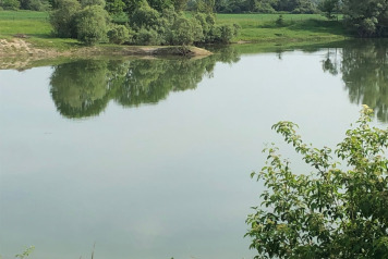 Lake Photos - 12
