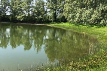 Lake Photos - 2
