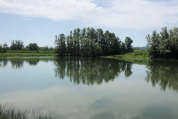 Lake Photos - 3