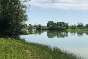 Lake Photos - 4
