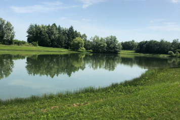 Lake Photos - 5