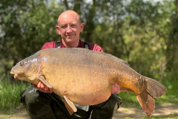 50's across the board - 3