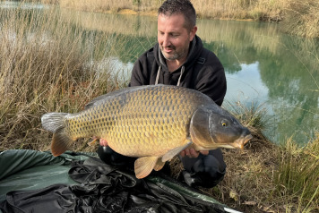 New Arrivals at Golden Carp Lake - 3