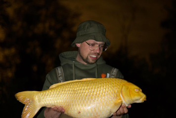 A beautiful koi is out - 3