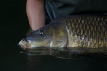 High Temperatures - 2