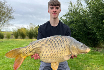 The fish are feeding - 3