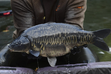 The future is looking incredibly bright at Old Oaks! - 5