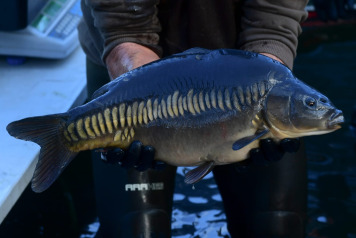 The future is looking incredibly bright at Old Oaks! - 4