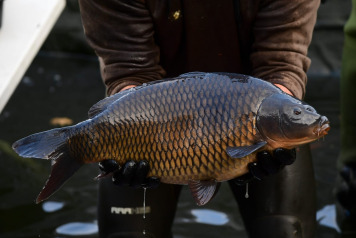 The future is looking incredibly bright at Old Oaks! - 7
