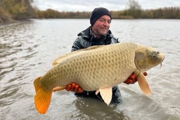 Annual draining and netting - 2