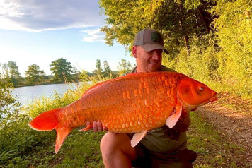 Great Fishing Continues - 1