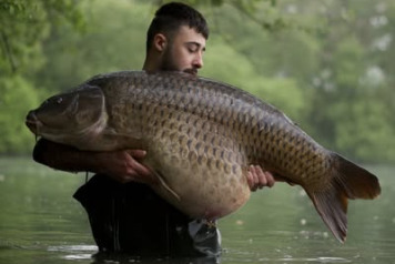 Big Common is out again - 2