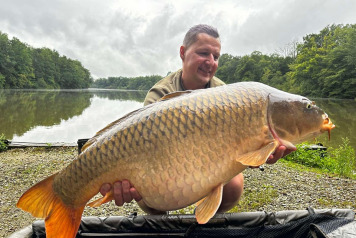 Bumper week on swim 4 - 1