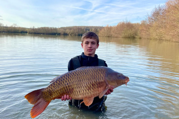 New Additional Stock - 5