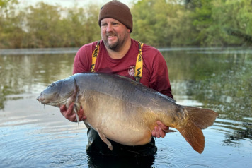 50's across the board - 1