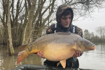 Additional Stock - 6