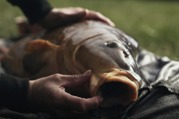 Carpology & ND Tackle Spotlight on Evaro - 1