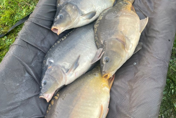 Additional Stocking - 6