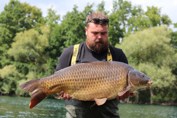 Woods bank updates - 11