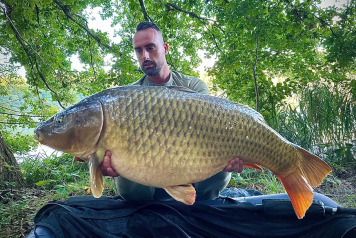 A recent catch report - 2