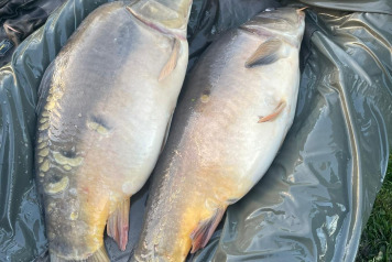 Additional Stocking - 4