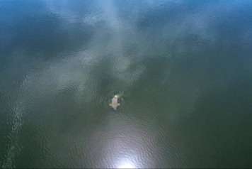 Incredible Drone Footage from the Lake - 6