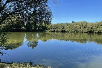 More work to island - 3