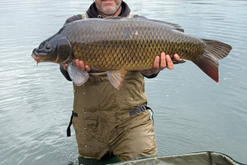 Woods bank updates - 6